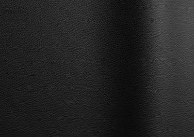 Bizon - Black