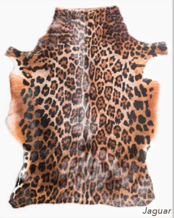 Blesbok Rug with Jaguar Print