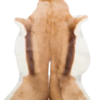 Springbok Rug - Image 2