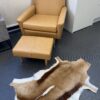 Springbok Rug
