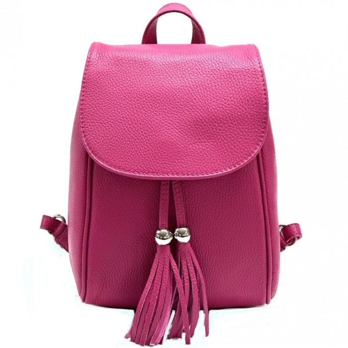 Easy carry backpack with many compartments