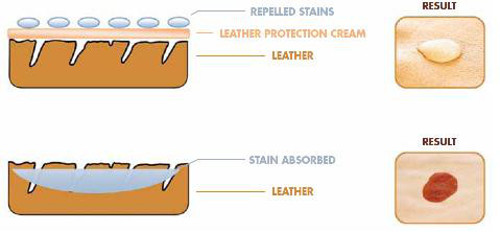 Cross section of leather