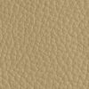 Leather Repair Paint